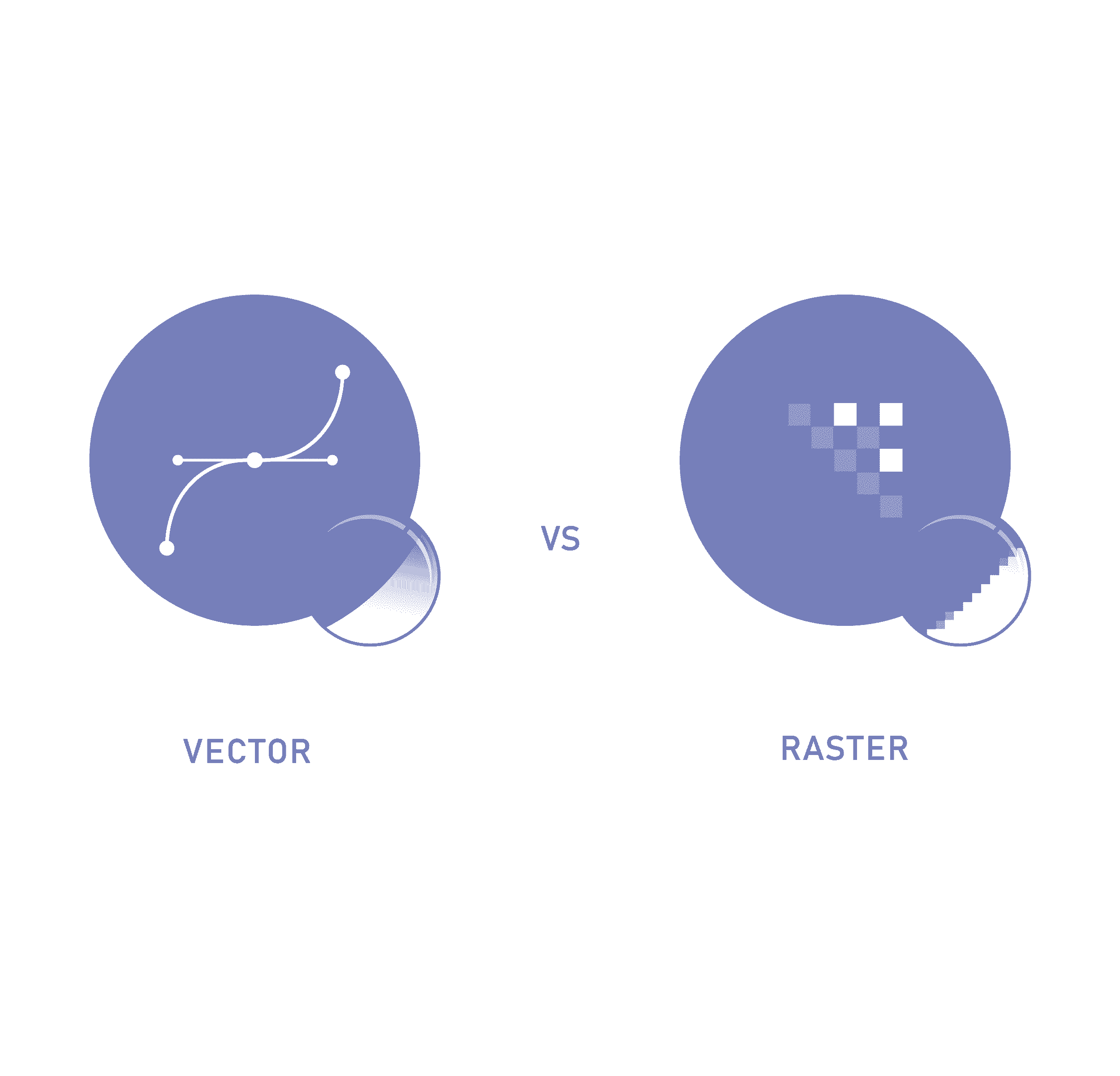 the Difference Between Vector Images and Raster Images